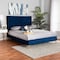 Baxton Studio Fabrico Glam and Luxe Navy Blue Velvet Upholstered and Gold Metal Queen Size Platform Bed 214-10941-ZORO - alternate 1